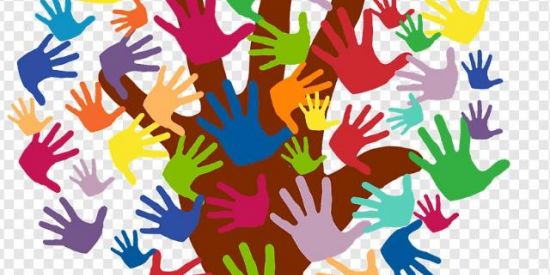 Curso Pedagogia Sistêmica
