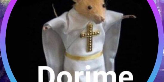 Dorime
