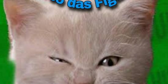 (Universo das Figurinhas)