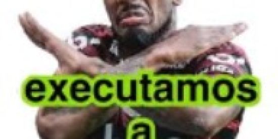 Sinais trader e punter esportivo
