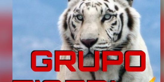 *GRUPO TIGER’s⚡
