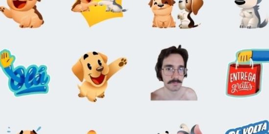 Colecionador de figurinha