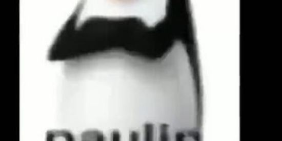 Shitpostokkkkj 😎👌