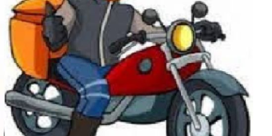 SITE PARA DELIVERY