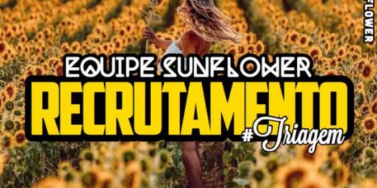 3⃣TRIAGEM SUNFLOWER EQP 1🌻