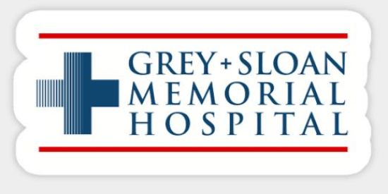 A ANATOMIA DE GREY 🏥👩🏼⚕️