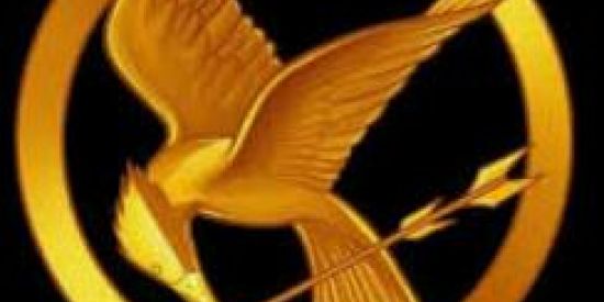 •FICHA 🖋️ The Hunger Games