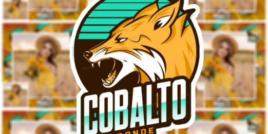 RECRUTAMENTO BONDE COBALTO.🦊❤️
