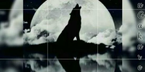 🌕Yorugakure-RƤG🌕