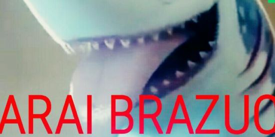 🔥CARAI ⚡ BRAZUCA🔥