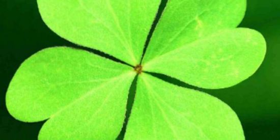 🍀 SEMANA DE SORTE 🍀
