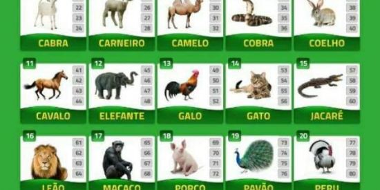Rifa couto