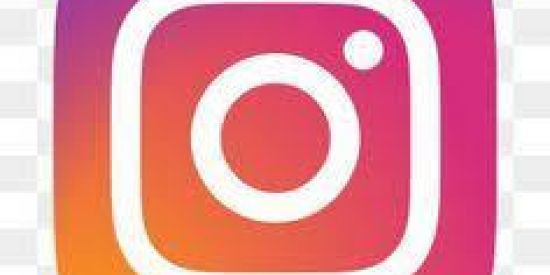 Instagram Orgânico ✅