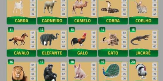 Jogo do bicho online