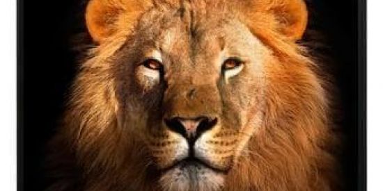 🦁 Triagem IT's 🦁