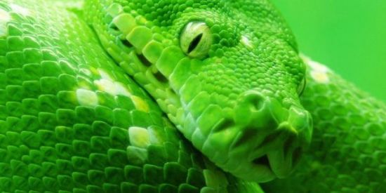 Biologia Brasil 🇧🇷