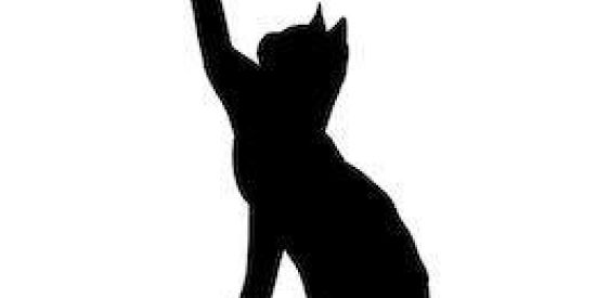 ARTHERA🐈⬛ -Papo Calcinha