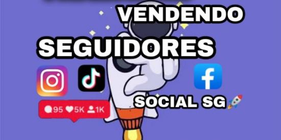 TRABALHE VENDENDO SEGUIDORES {SOCIAL SG}🚀 SEGUIDORES BARATO ❤️