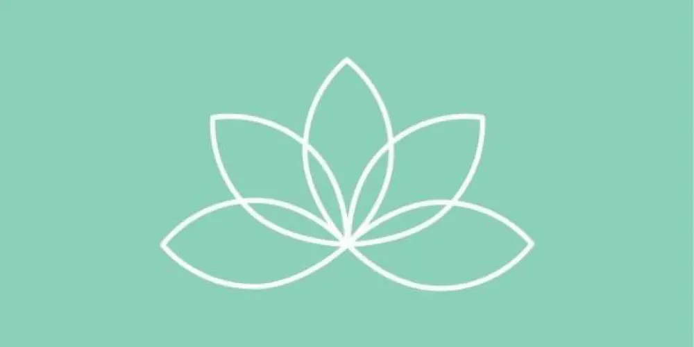 🌿 CBD & Bem-Estar 🌿