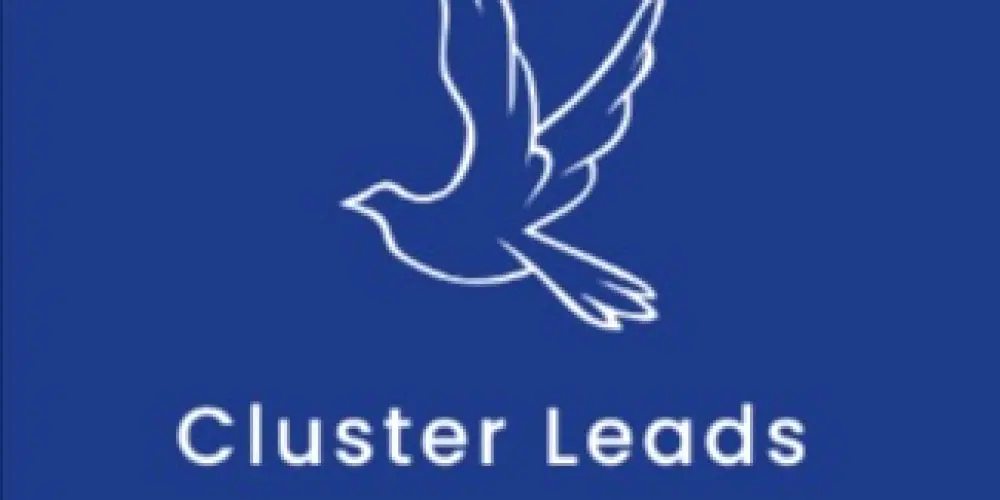 Cluster Leads VIP