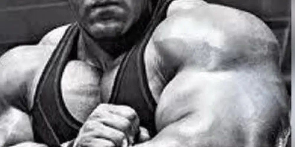 Gym Elite 💪🏻🏆