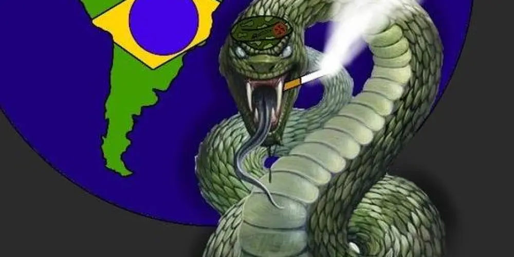 NOVO BRASIL
