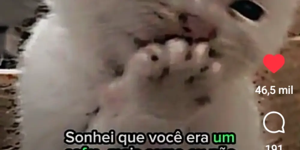 ♤Padrinhos Mágicos♡