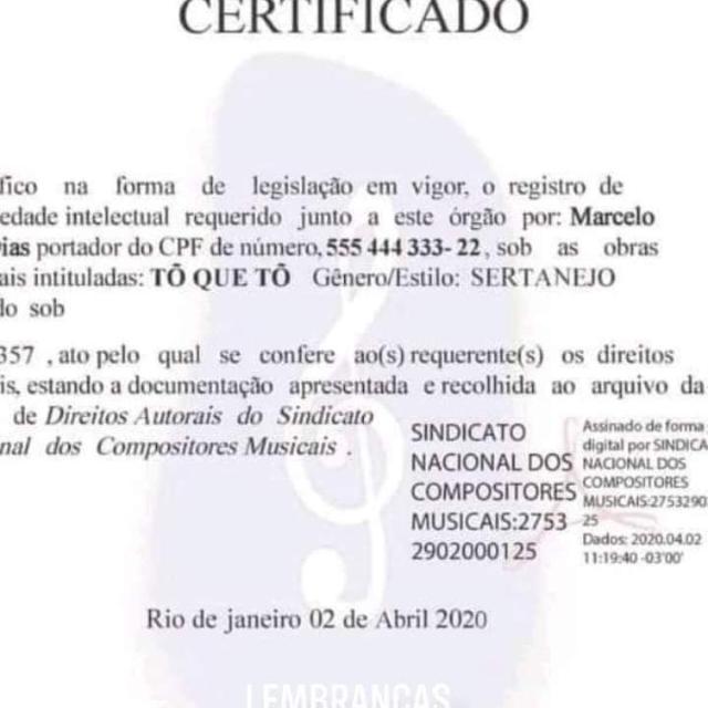 FAMÍLIA SINDICATO NACIONAL DOS COMPOSITORES MUSICAIS - DIVULGAÇÕES E PARCERIAS