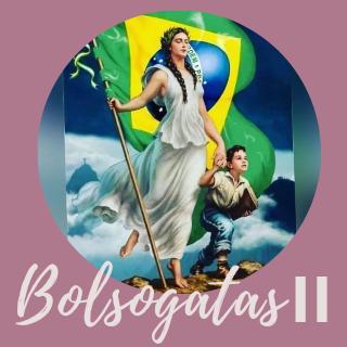Reserva entrar no Bolsogatas Apoio 11961863171