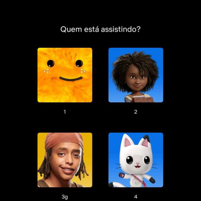 πΏπ§π *-*NETLIX 10$ A TELA COM PIN